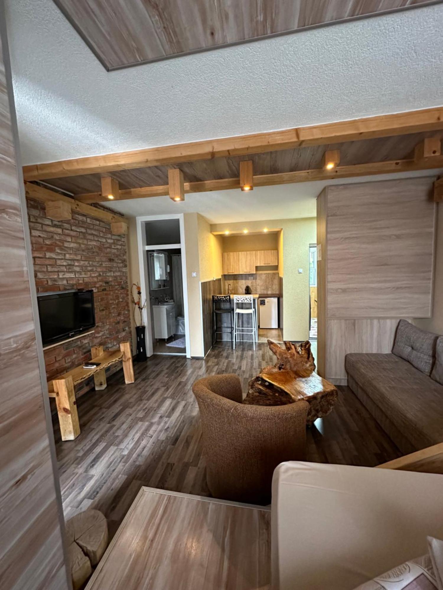 Apartments Park 2016 Surdulica エクステリア 写真